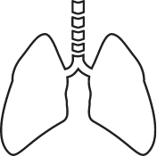 lungs icon